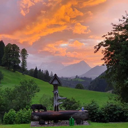 Biobauernhof Schoettelbauer Rosenau am Hengstpass المظهر الخارجي الصورة