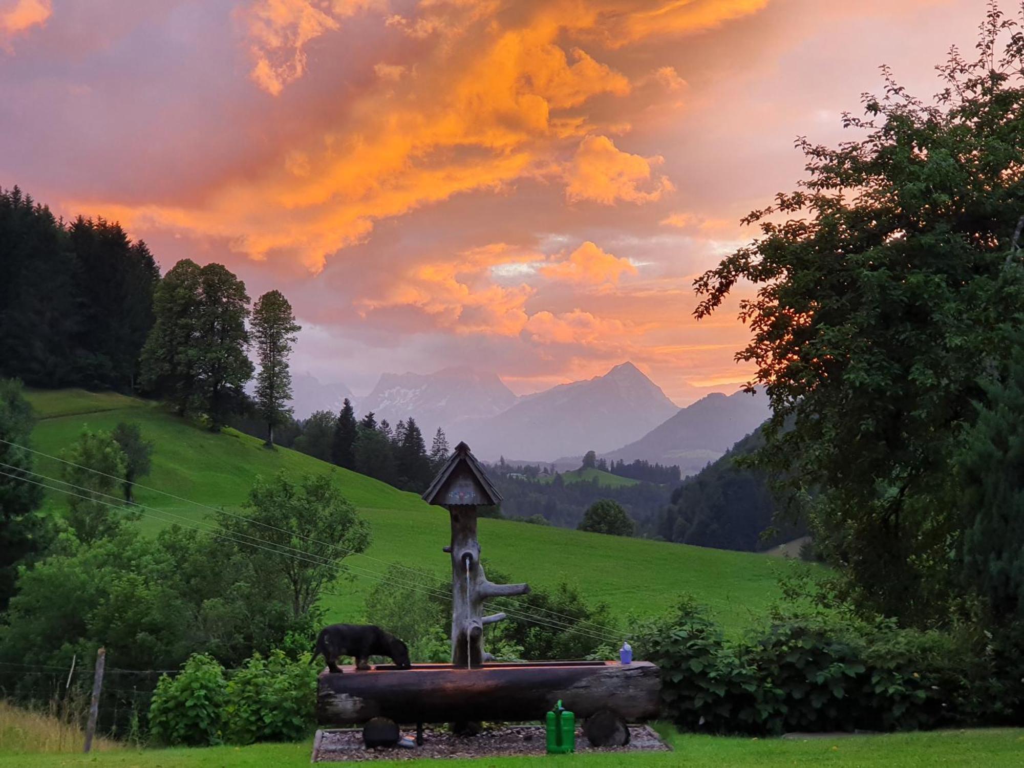 Biobauernhof Schoettelbauer Rosenau am Hengstpass المظهر الخارجي الصورة