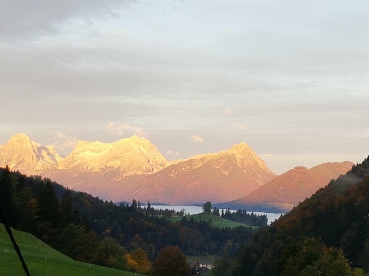 Biobauernhof Schoettelbauer Rosenau am Hengstpass المظهر الخارجي الصورة